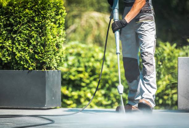 Best Roof Washing  in Roxana, IL