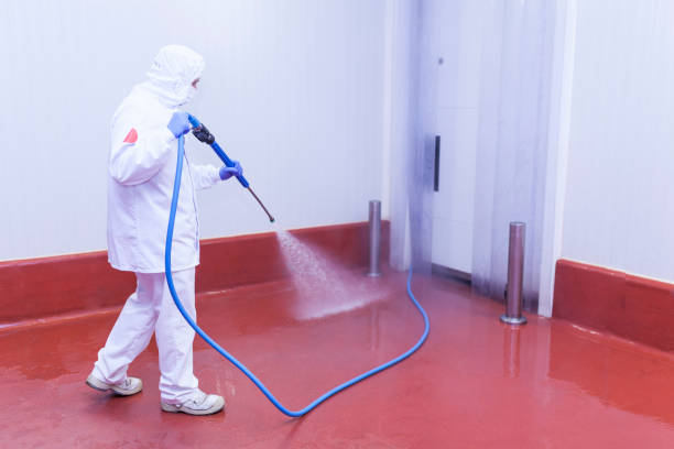 Best Sidewalk and Walkway Cleaning  in Roxana, IL