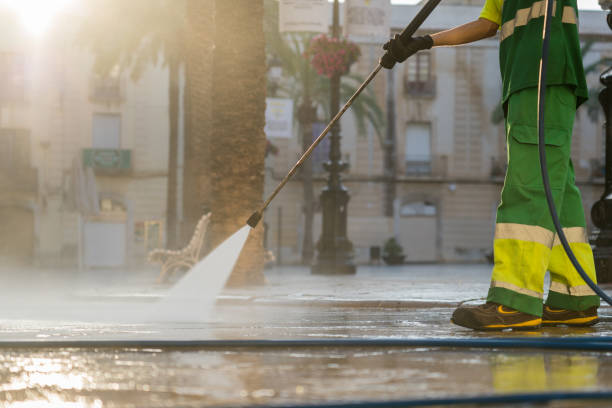 Best Fence Cleaning  in Roxana, IL